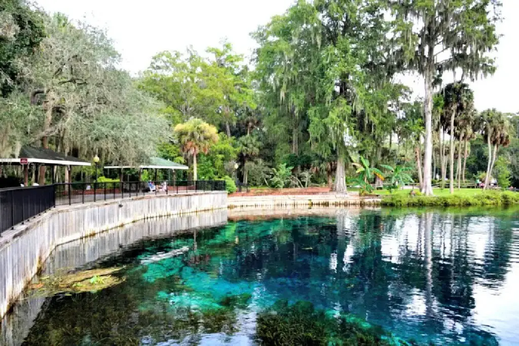 silver-springs-state-park-florida-waters
