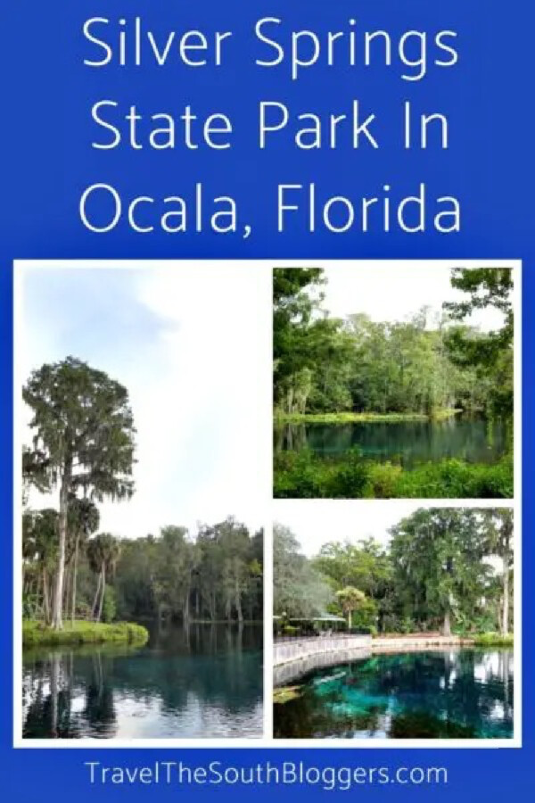 silver-springs-state-park-in-ocala-pin