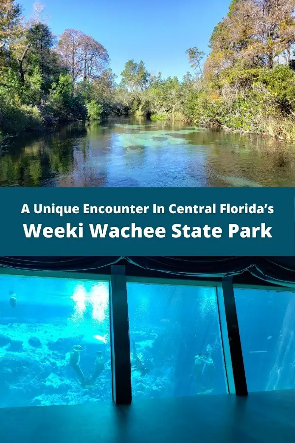 weeki-wachee state park florida 