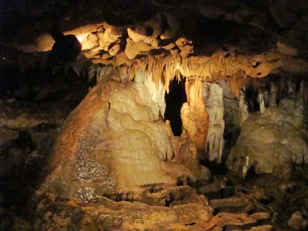 Visiting Florida Caverns State Park In Marianna, Florida - Travel the ...