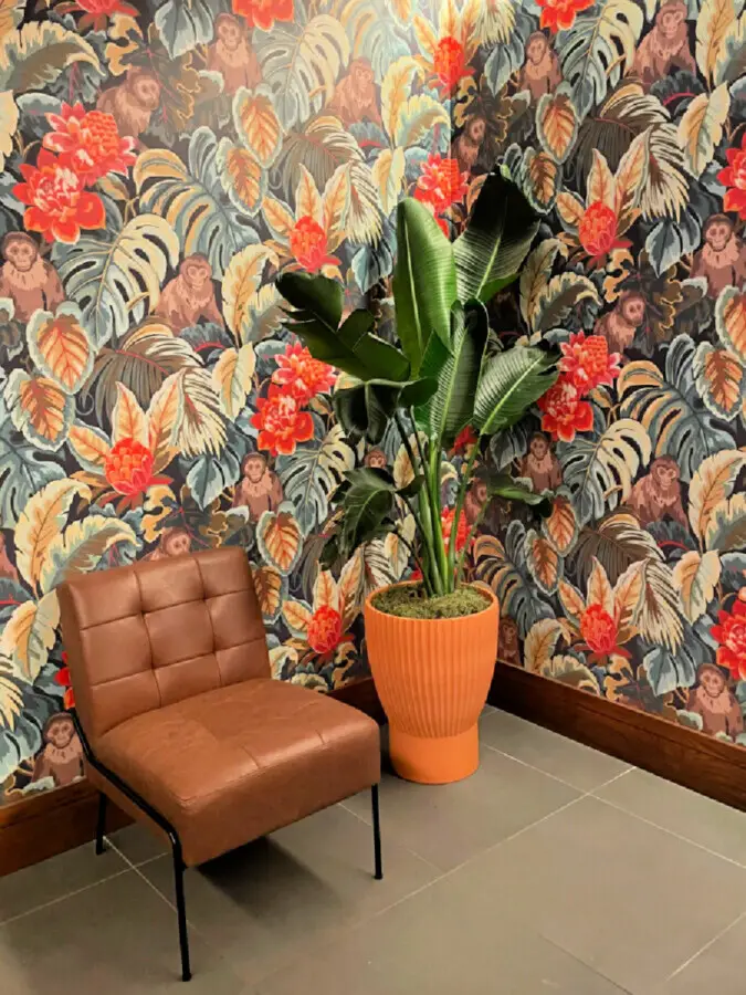 print-wallpaper-with-chair-and-potted-plant
