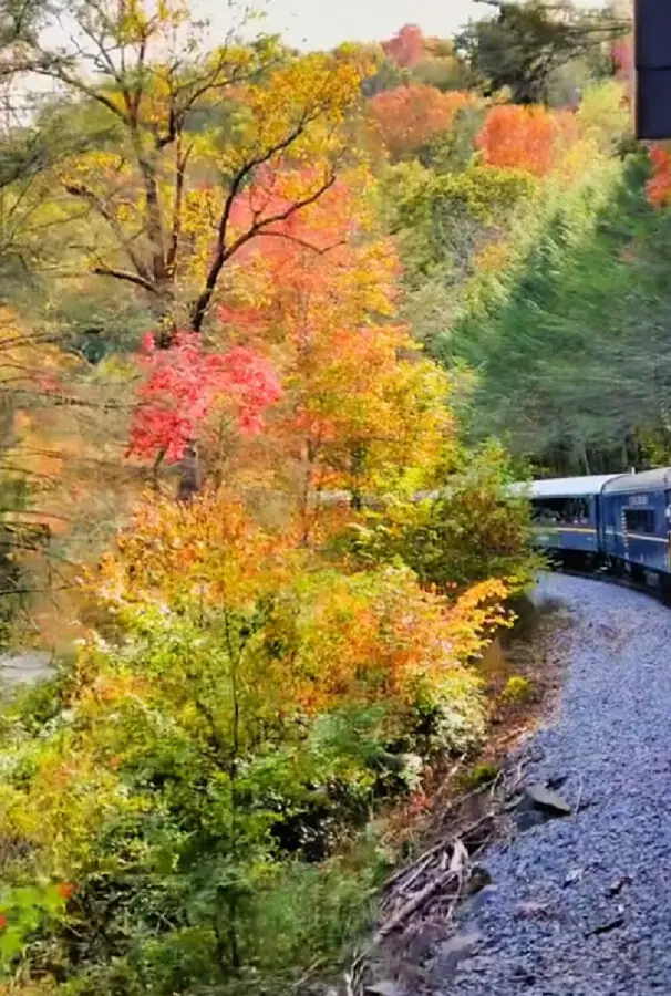 train-ride-in-blue-ridge-georgia