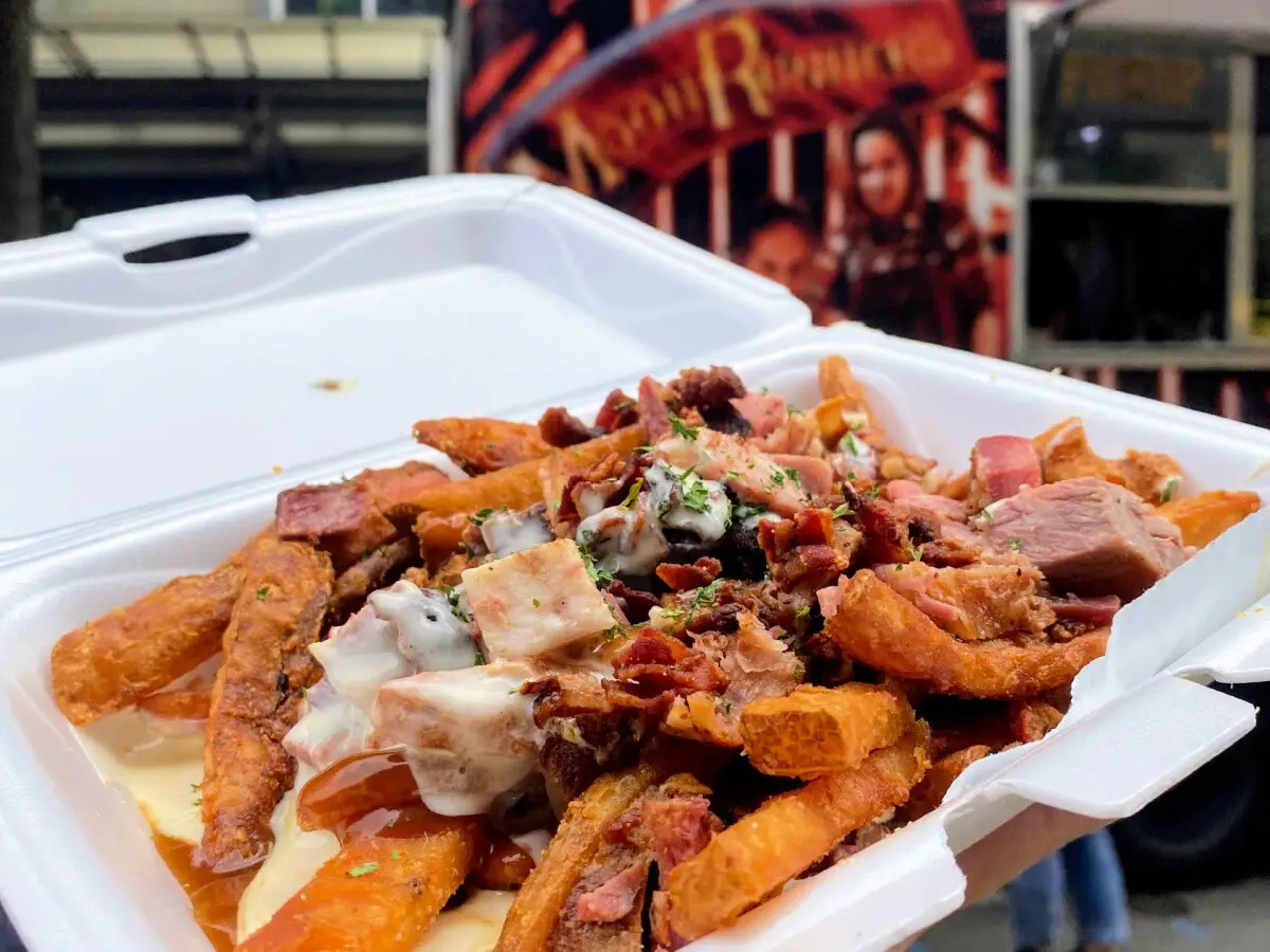 loaded-fries-raleigh-food-truck-rodeo
